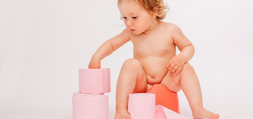 Zindelijkheidstraining