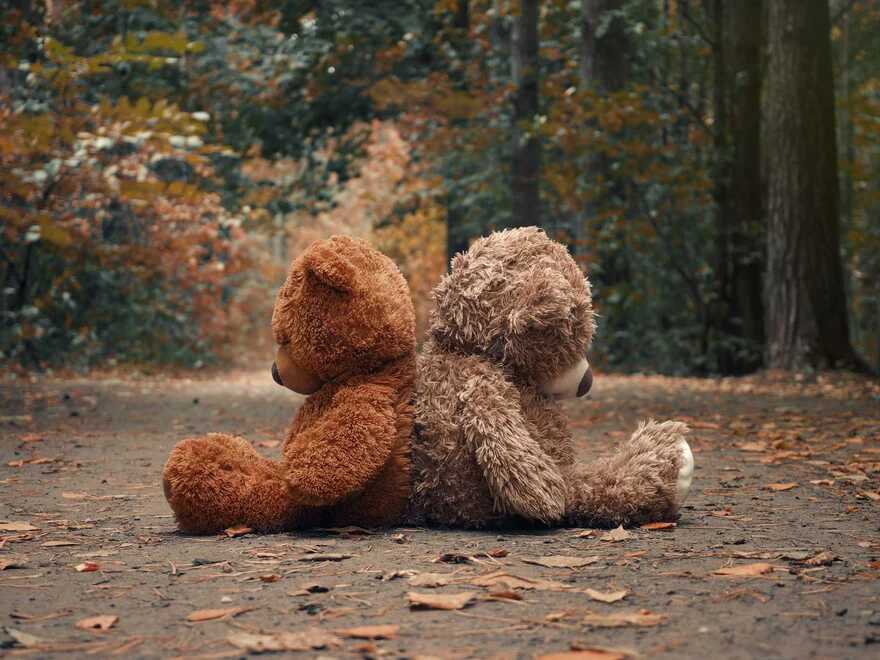teddy beren in bos